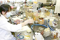 細菌検査の様子
