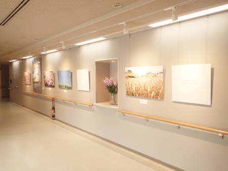 酒田市美術館との取り組み 鉄道写真家中井精也の世界4