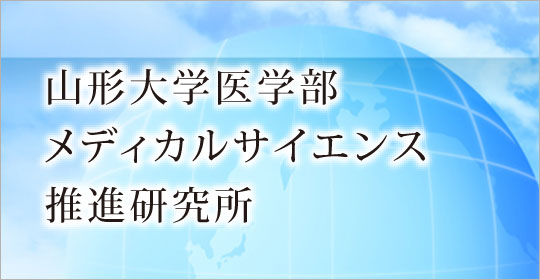 山形大学医学部 メディカルサイエンス 推進研究所