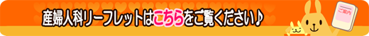 産婦人科リーフレットはこちらをご覧ください